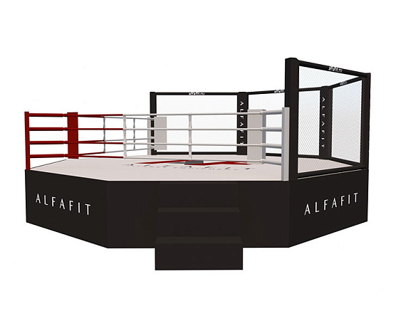 Октагон-трансформер AlfaFit на помосте высотой 1 м