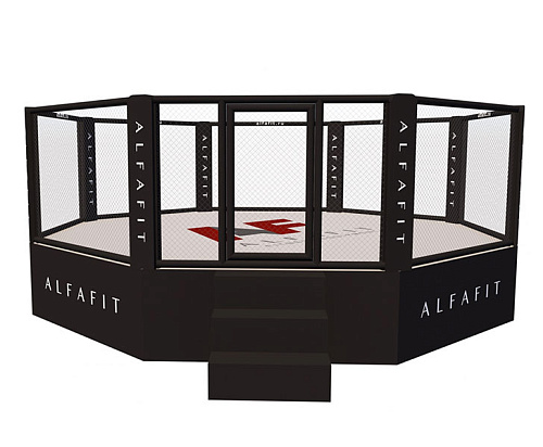 Купить Октагон тренировочный AlfaFit на помосте высотой 1 м в Москве