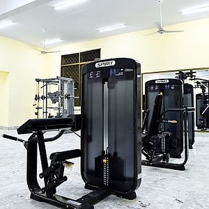 Купить Грузоблочный тренажер Spirit Fitness SP-3506 Бицепс машина в положении сидя со стеком 76 кг в Москве