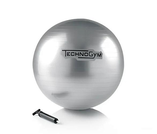Купить Мяч для фитнеса Technogym Wellness в Москве