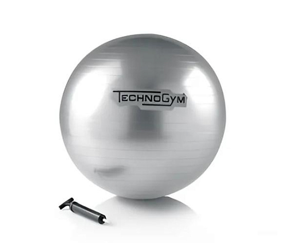 Мяч для фитнеса Technogym Wellness