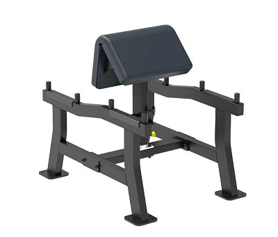 Парта для бицепса Aerofit Impulse SL7018 (Скамья Скотта)
