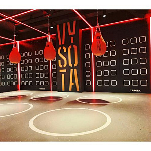 Купить Targex Функциональная Панель TRAINING WALL (панель, размер 600х2400мм) в Москве