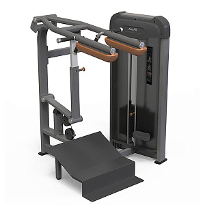 Купить Силовой тренажер Anyfit Голень стоя PE208-114 в Москве