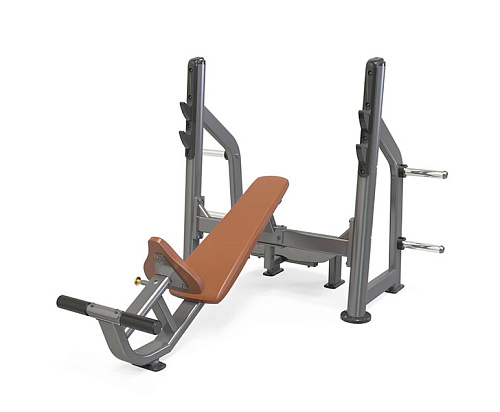 Купить Скамья для жима лежа с положительным углом наклона Anyfit PEB102 в Москве