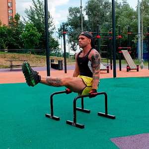 Купить Original FitTools Брусья мобильные (паралетсы) в Москве