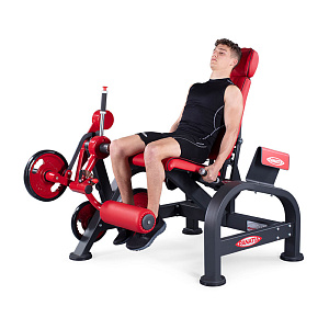 Купить Нагружаемый дисками тренажер Panatta FreeWeight Special 1FW181 в Москве