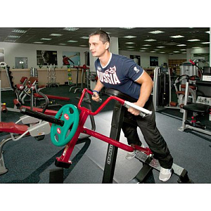 Купить Нагружаемый дисками тренажер Aerofit Impulse SL7019 Т-образная тяга с упором в грудь в Москве