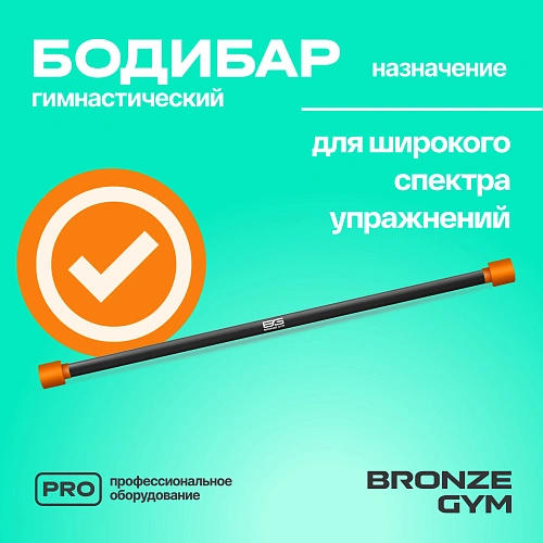 Гимнастическая палка бодибар Bronze Gym, 6 кг
