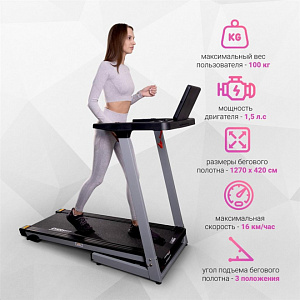 Купить Беговая дорожка Everyfit 74209 в Москве