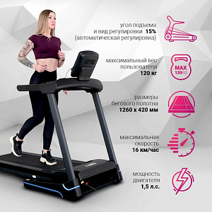 Купить Беговая дорожка Everyfit 74203B в Москве