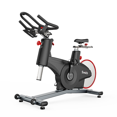 Сайкл Smith S300