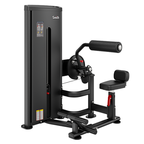 Купить Пресс / разгибание спины Smith Fitness Excellence DA009 в Москве