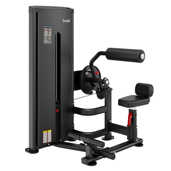 Пресс / разгибание спины Smith Fitness Excellence DA009