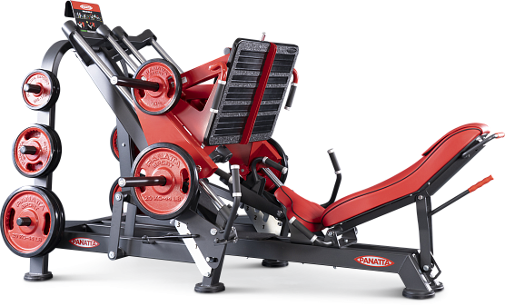 Нагружаемый дисками тренажер Panatta FreeWeight Special 1FW090
