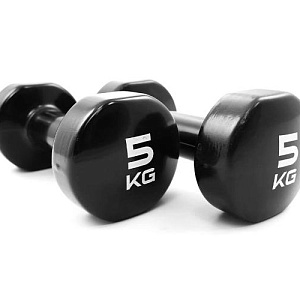 Купить Livepro Гантели цветные LP8076-5 (пара) в Москве