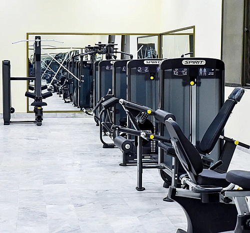 Сгибание / разгибание ног сидя Spirit Fitness SP-3505 стек 109 кг