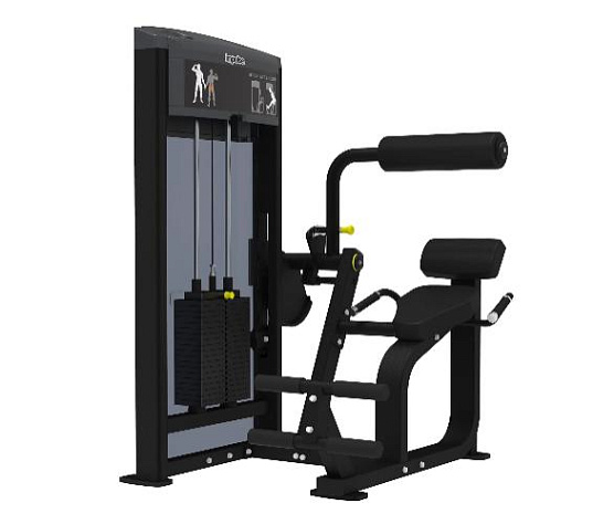 Разгибание спины Aerofit Impulse IF9332