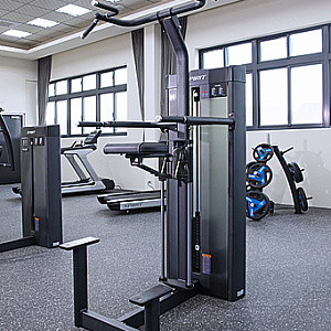 Купить Гравитрон Spirit Fitness SP-4314 Гравитрон в Москве