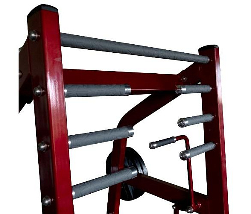 Приседания с поясом Realleader LD-2004 (HSPro-2004)