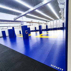 Купить Targex Татами серия PVC в Москве