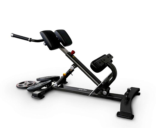 Купить Гиперэкстензия Anyfit PEB107 в Москве