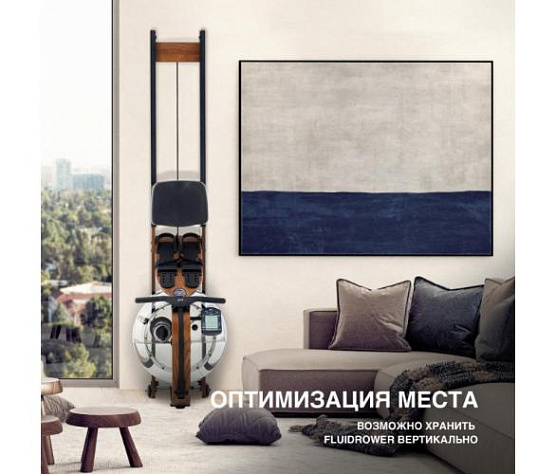 Гребной тренажер First Degree Fitness Viking 3XL фото8