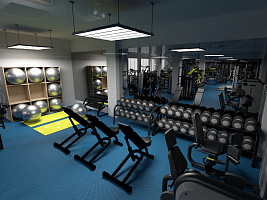 Коммерческий тренажерный зал
