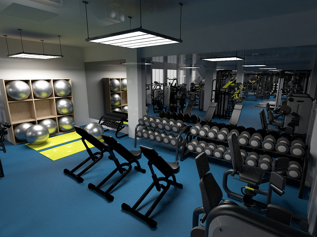 Коммерческий тренажерный зал