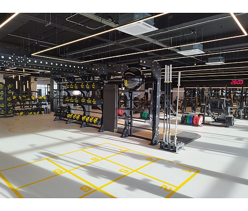 Тренировочная система Targex OCTANT