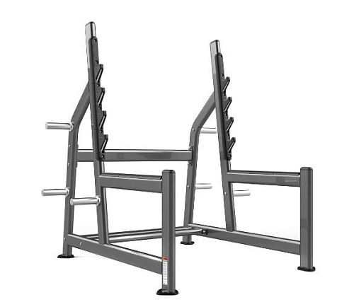 Купить Стойка для жима и приседаний Realleader FW-1018 в Москве