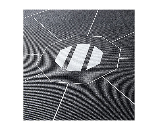 Мат восьмиугольный для тренинга UFC фото2