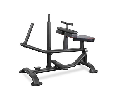 Нагружаемый дисками тренажер Bronze Gym PL-1719