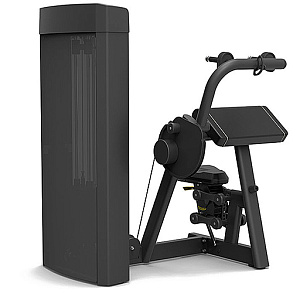 Купить Грузоблочный тренажер Spirit Fitness SP-4308 Трицепс в Москве