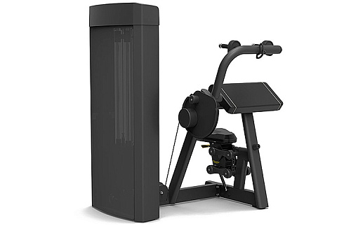 Трицепс-машина Spirit Fitness SP-4308
