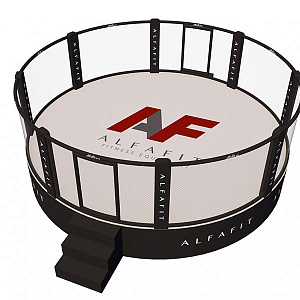 Купить AlfaFit MMA Арена тренировочная на помосте высотой 1 м в Москве