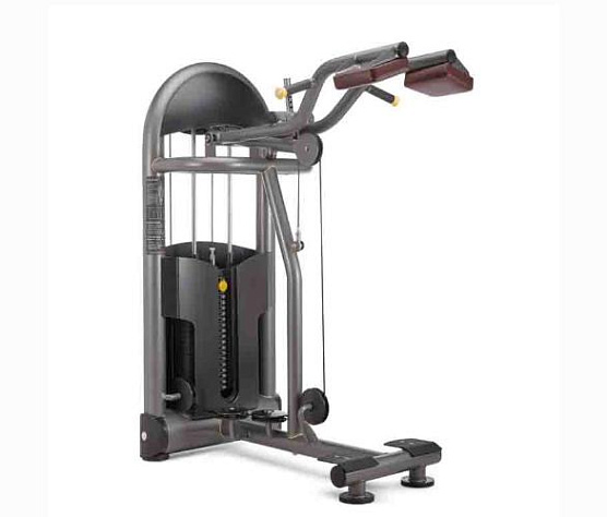Икроножные стоя Oxide Fitness C027
