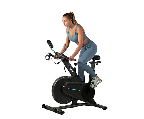 Сайкл Proxima Markus Pulse