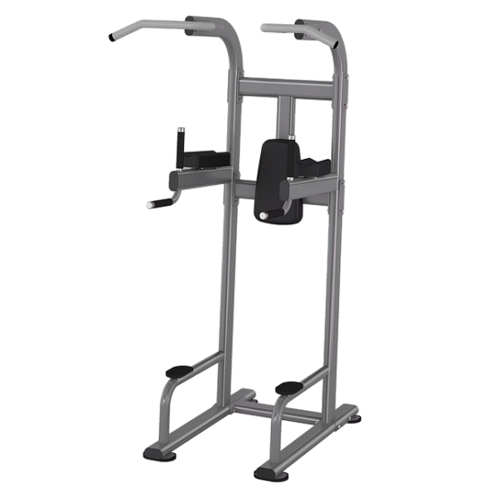 Smith Fitness Excellence DR008 поднятие коленей/брусья/турник
