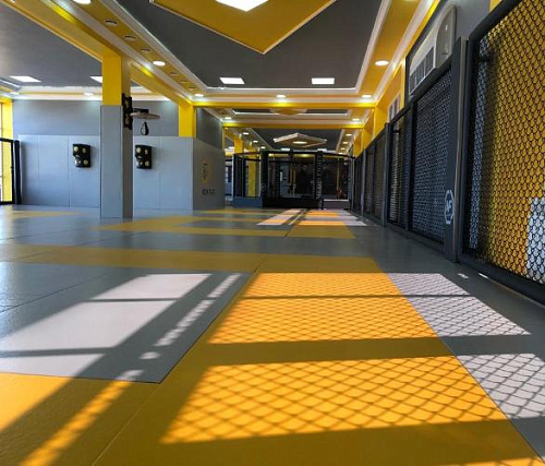 Татами Targex PVC 160/м3