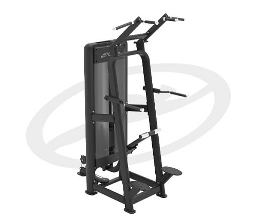 Купить Гравитрон (ассистент подтягивания, отжимания) Oxide Fitness D007 в Москве