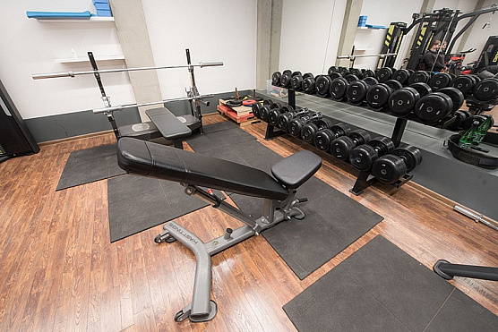 Скамья регулируемая Hasttings Digger HD016-4 фото4