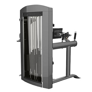 Купить Силовой тренажер True Fitness SPL-1900 Подтягивание/отжимание с помощью в Москве