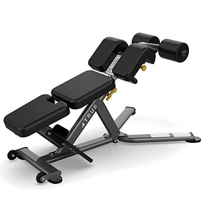Купить Скамья True Fitness Скамья для пресса и разгибания спины LINE FS-22 в Москве