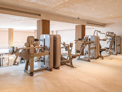 Лестница Technogym Artis Luxury Climb 