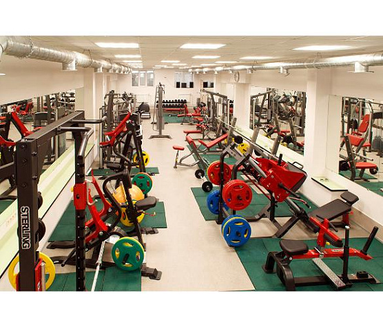 Икроножные сидя Aerofit Impulse SL7017 фото1