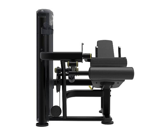 Сгибание ног сидя Aerofit Impulse IT9506