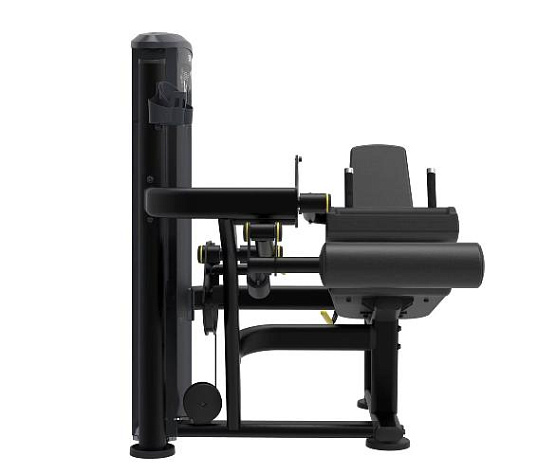 Сгибание ног сидя Aerofit Impulse IT9506 фото2