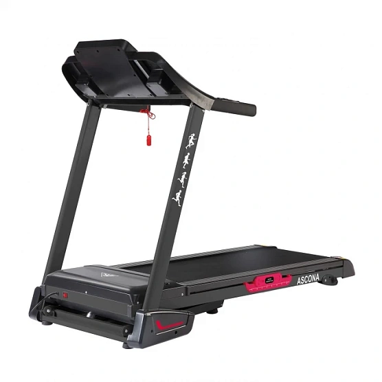 Беговая дорожка DFC Ascona T595 фото3