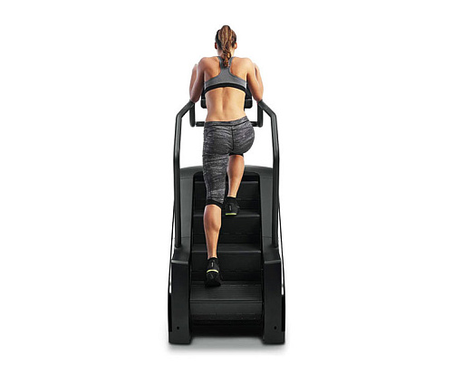Лестница Technogym Climb Artis